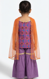 Royal Patola Girl Garara Set