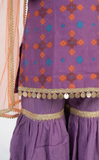 Royal Patola Girl Garara Set