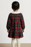 Crimson Charm Winters Check Dress