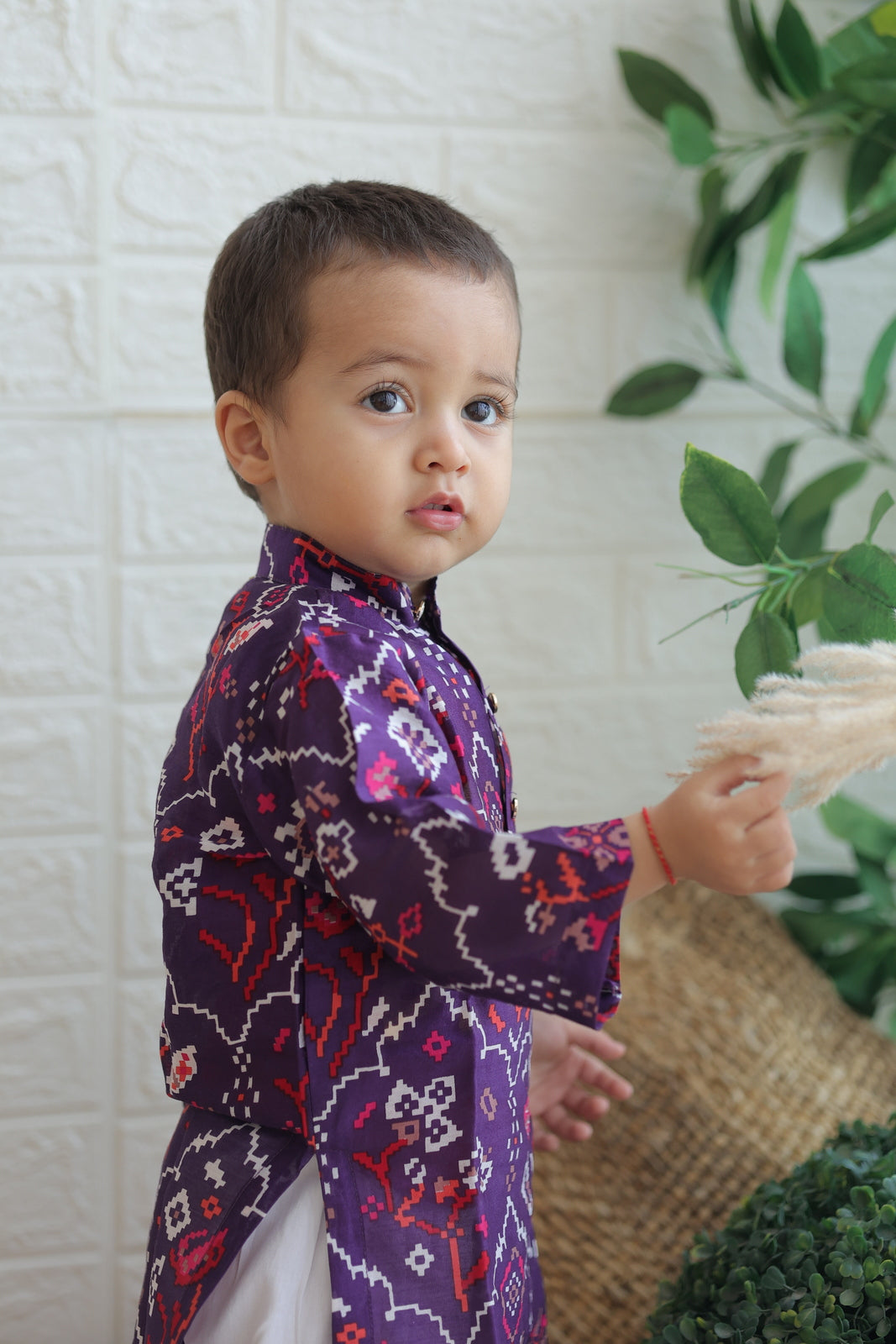 Royal Lavender Boy