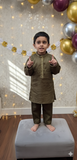 Mehandi Embroidered Kurta Boys