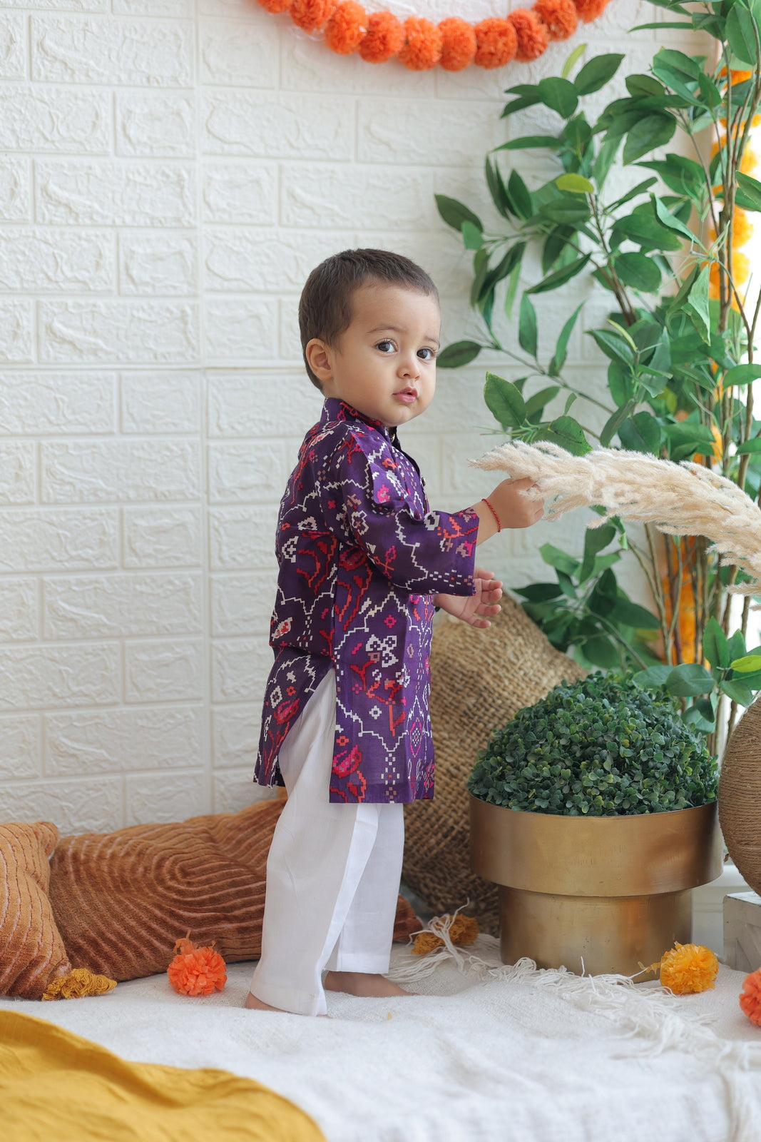 Royal Lavender Boy